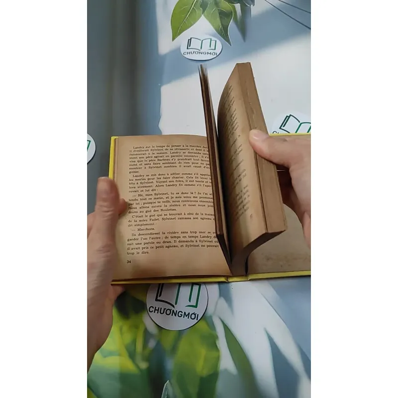 [MIỄN PHÍ BỌC SÁCH] La Petite Fadette - George Sand 749583