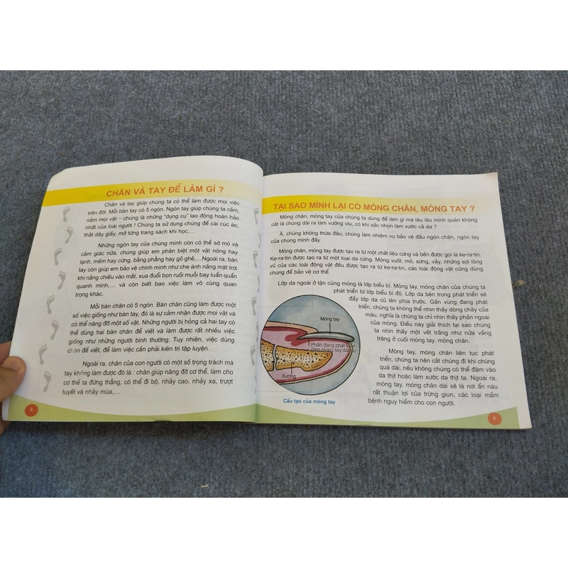 CƠ THỂ NGƯỜI 549894