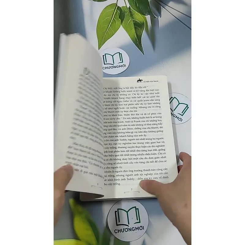 Tổ kiến lửa Texas - Shanna Swendson 688697