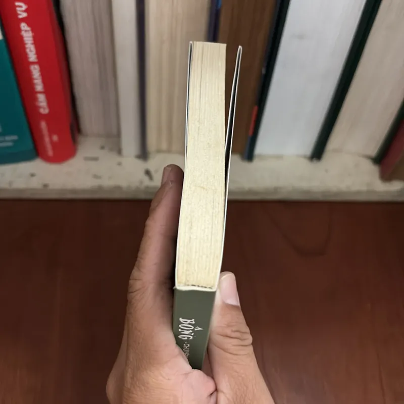 Văn Học Thiếu Nhi: Bông _ Chuyện Đời Con Sóc Xám - Ernest Thompson Seton - ROGER VU (Dịch) 709239