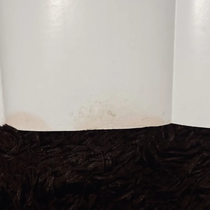 Yến Hội - Plato 1003394