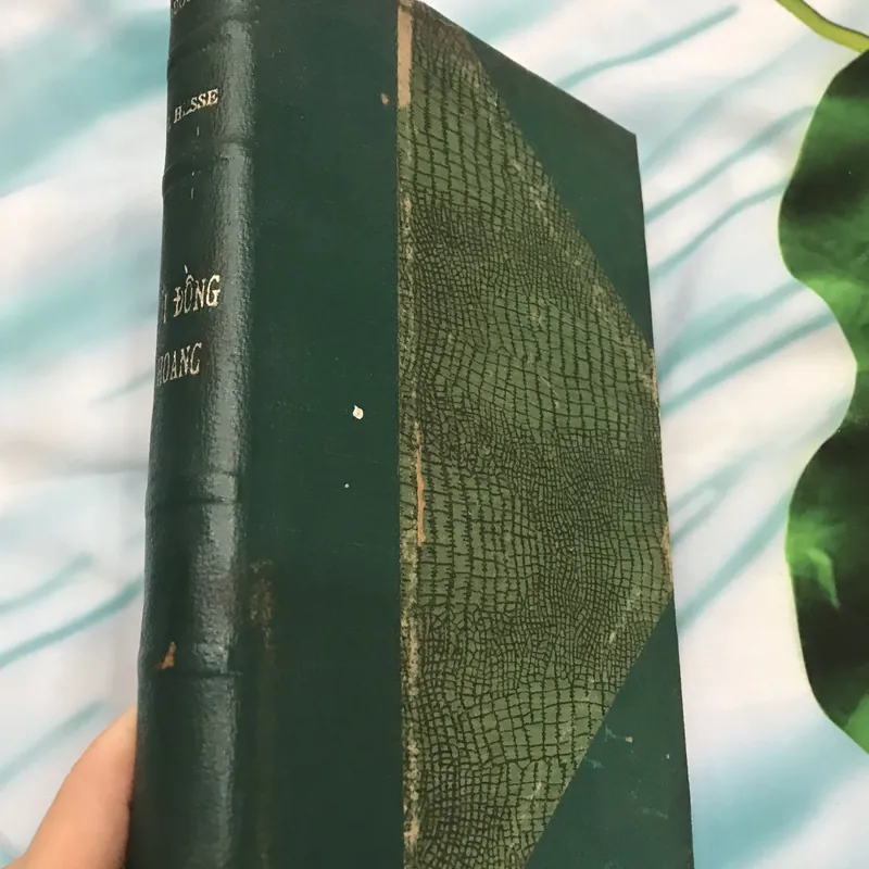 Sói đồng hoang - Hermann Hesse 591294