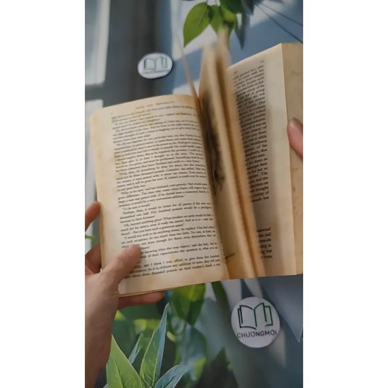 Sense and Sensibility - Jane Austen 1033593