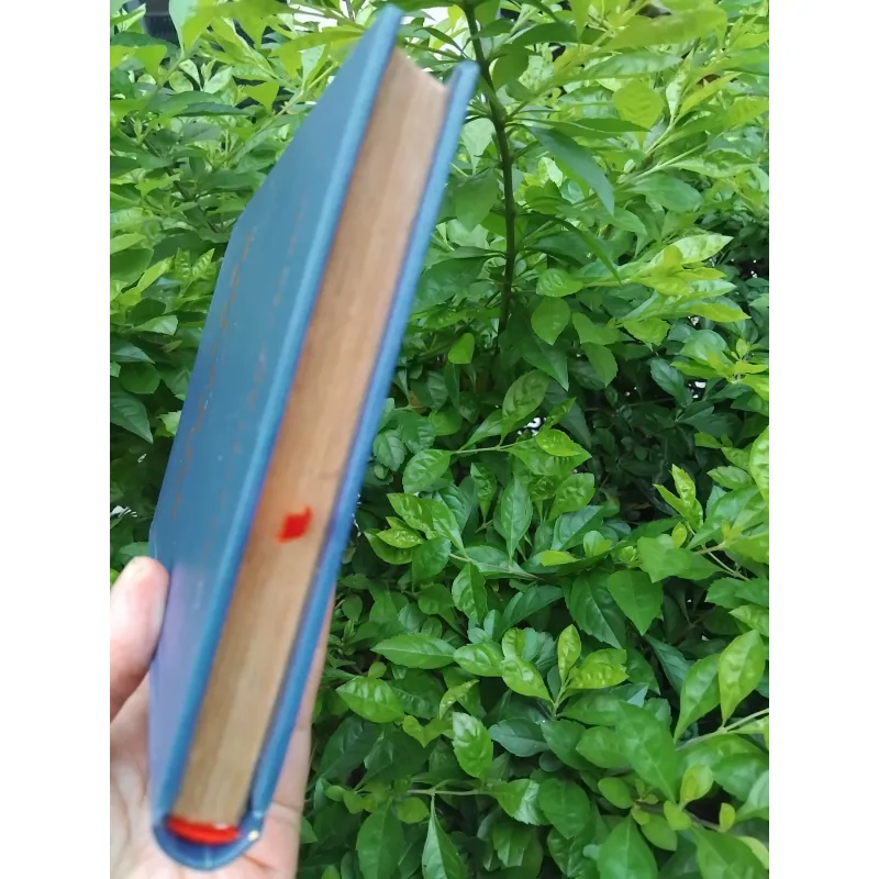 Cây sáo nàng Tan tập truyện Albania 1004721