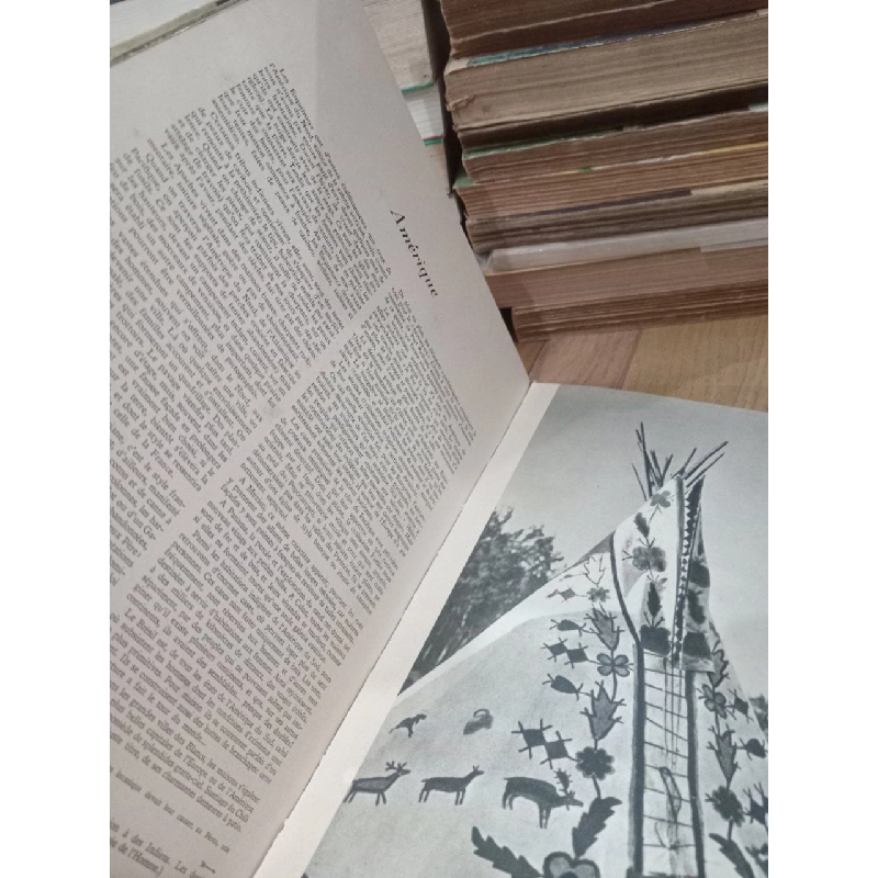 Maisons dans le monde - Larousse 792291