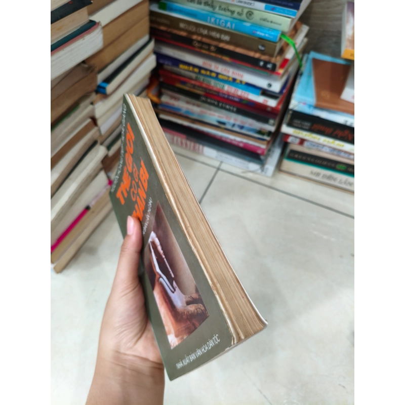 Thế giới có gì thần bí 🌱 507202