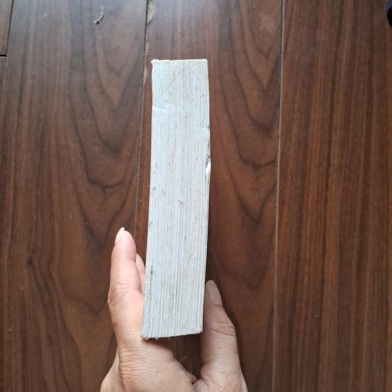 Hồi ức cuộc tình 505392