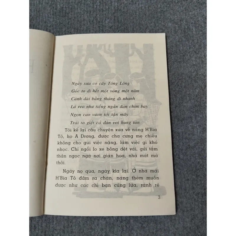 HUYỀN THOẠI VỀ CÂY TÔNG LÔNG 720697