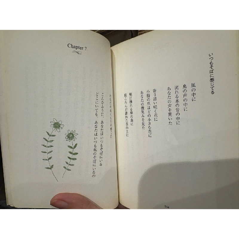 Sách tiếng Nhật 53 185119