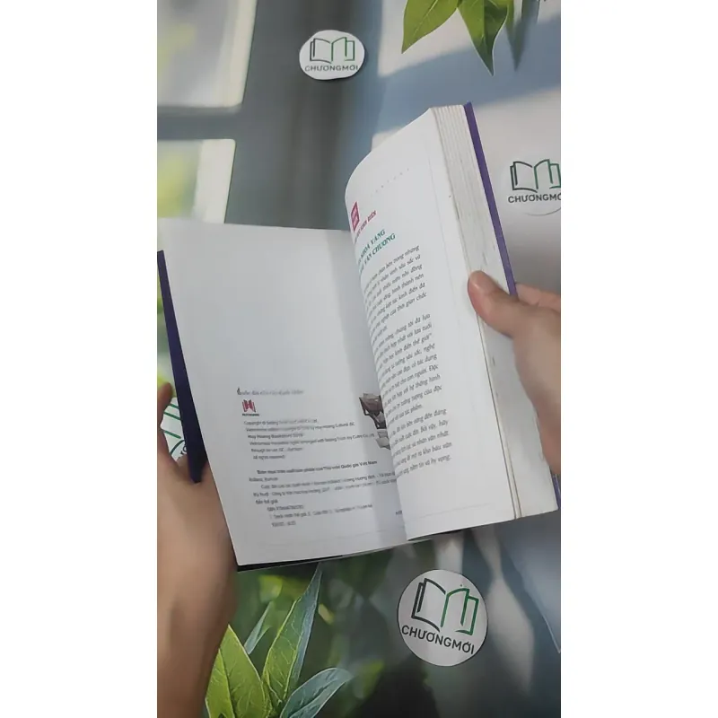 Cuộc Đời Của Các Danh Nhân - Romain Rolland 1018936