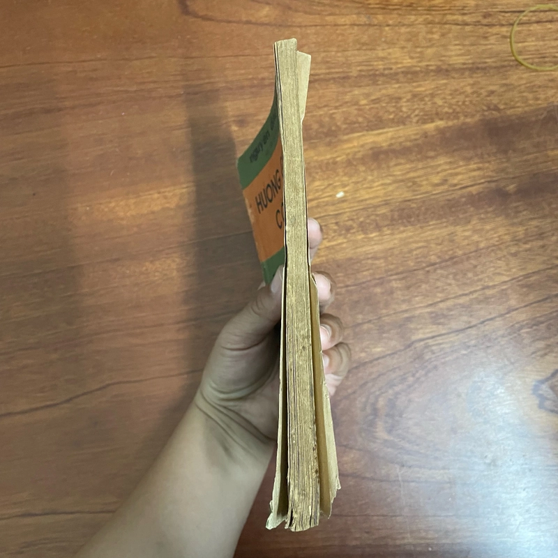 II Tựa sách: Hương Giang Cố Sự - Nguyễn Đắc Xuân - 1986 433385