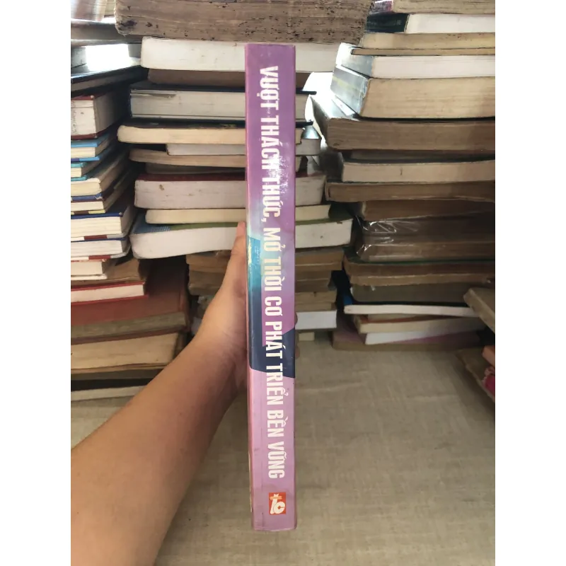 Vượt thử thách mở thời cơ phát triển bền vững 995090