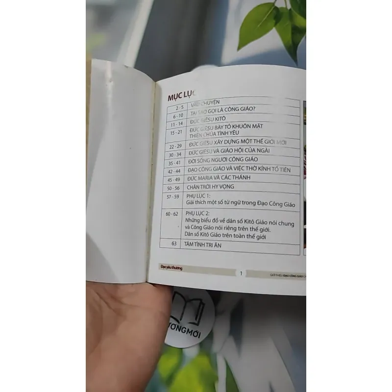 Combo: Kinh Thánh Thật Sự Dạy Gì, Đạo Yêu Thương 727295