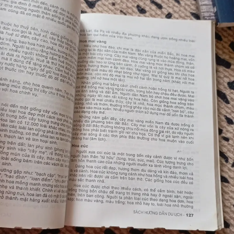 Non nước Việt Nam  740670