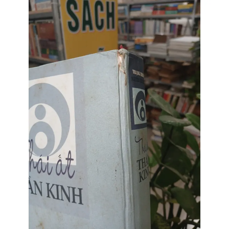 THÁI ẤT THẦN KINH - NGUYỄN BỈNH KHIÊM 777149