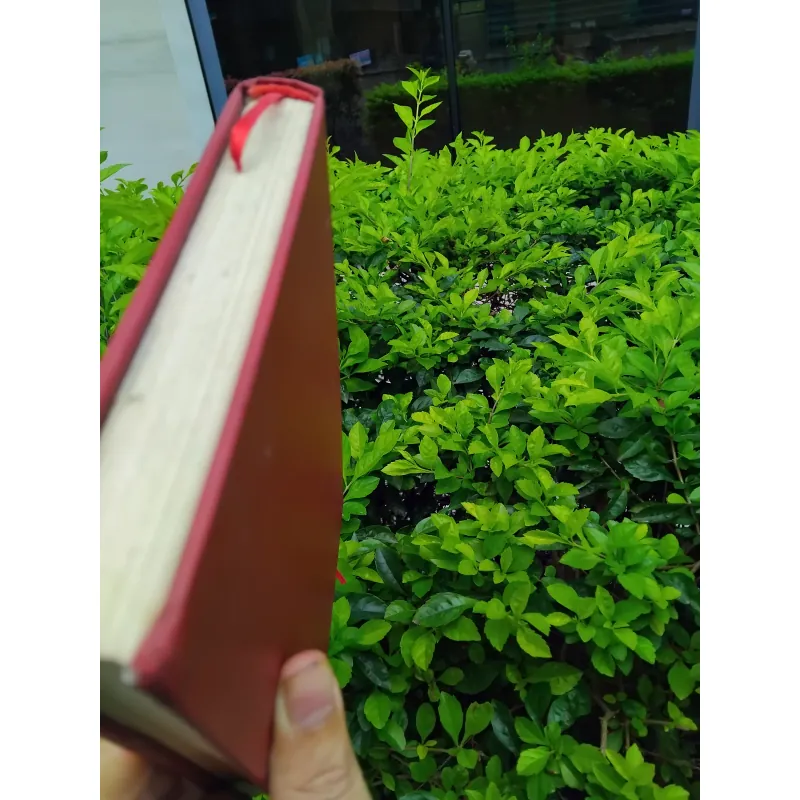 Thơ ca Việt Nam hình thức và thể loại  960859