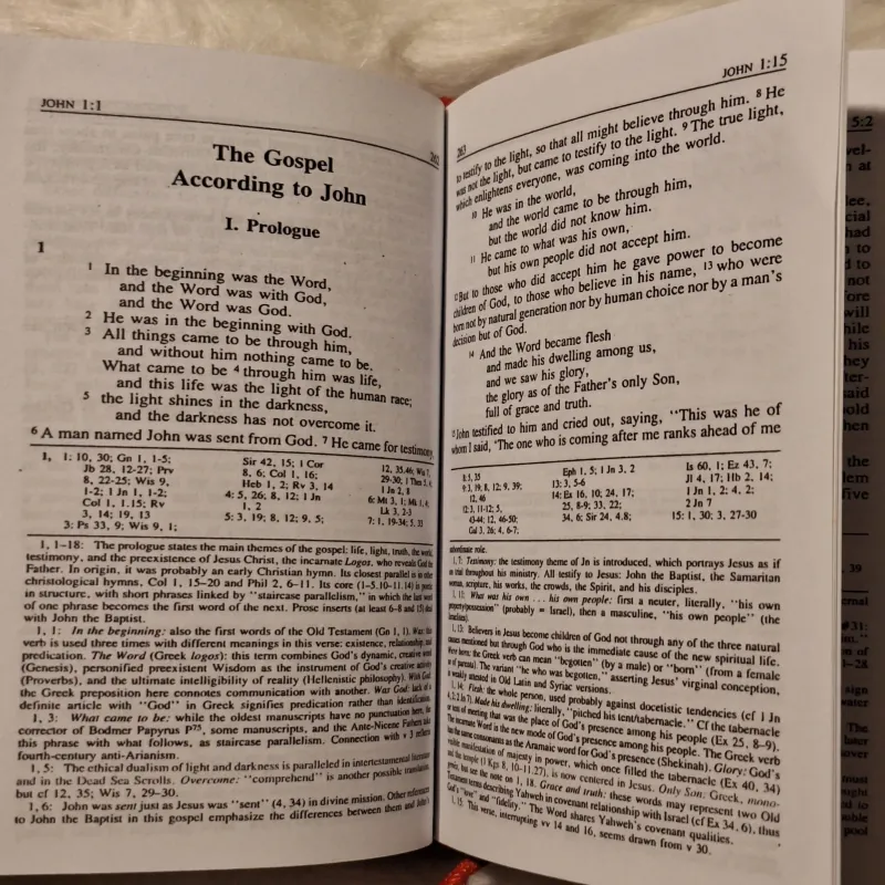 Tân Ước The New American Bible 782798