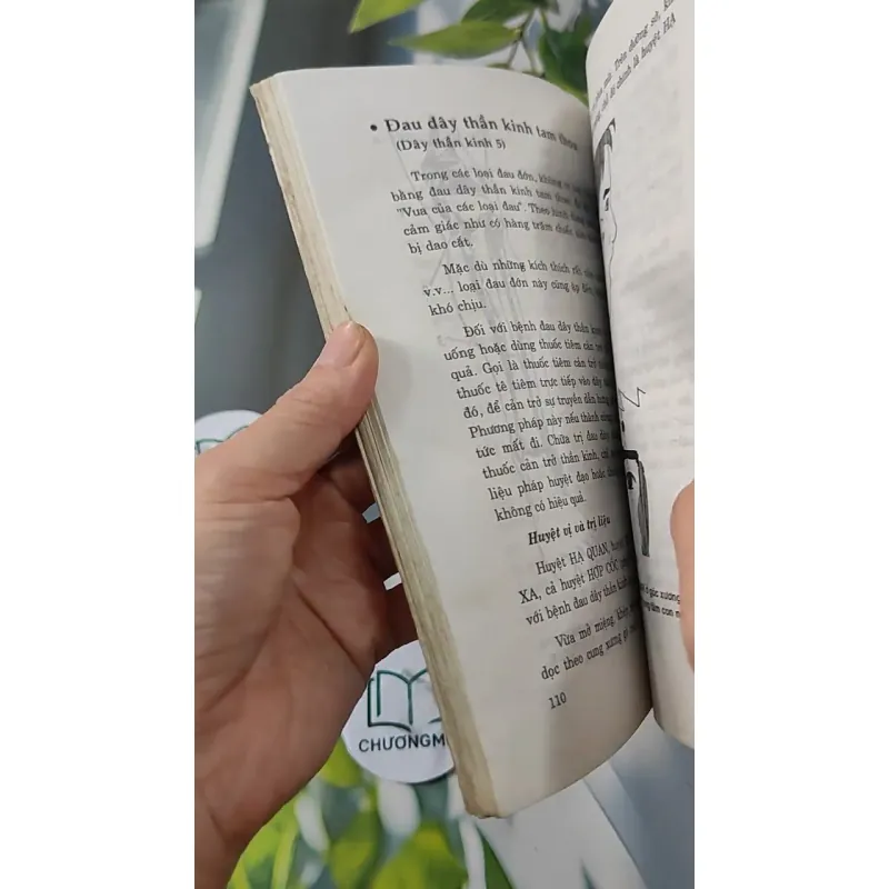 Phương Pháp Bấm Huyệt Chữa Bệnh - Phùng Lực Sinh 727233