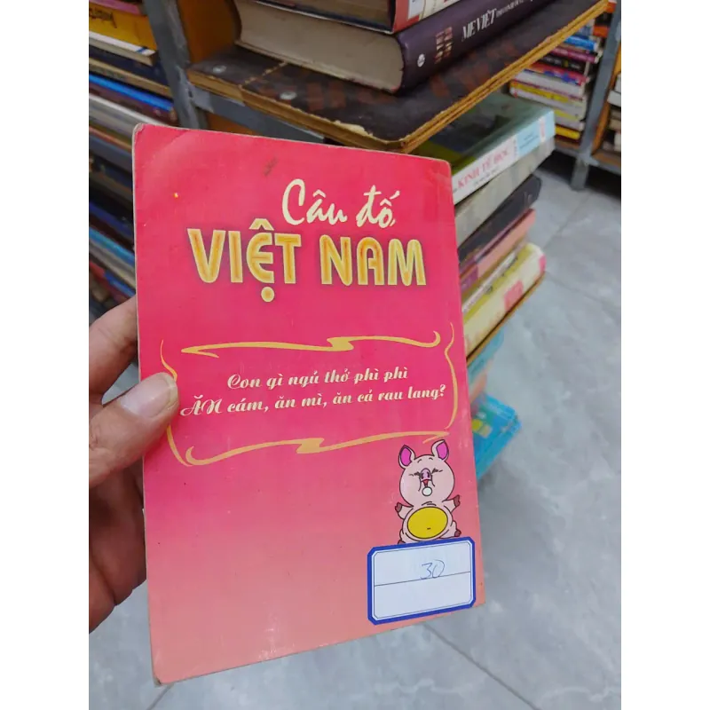sách Câu đố Việt Nam  (B1) 701573