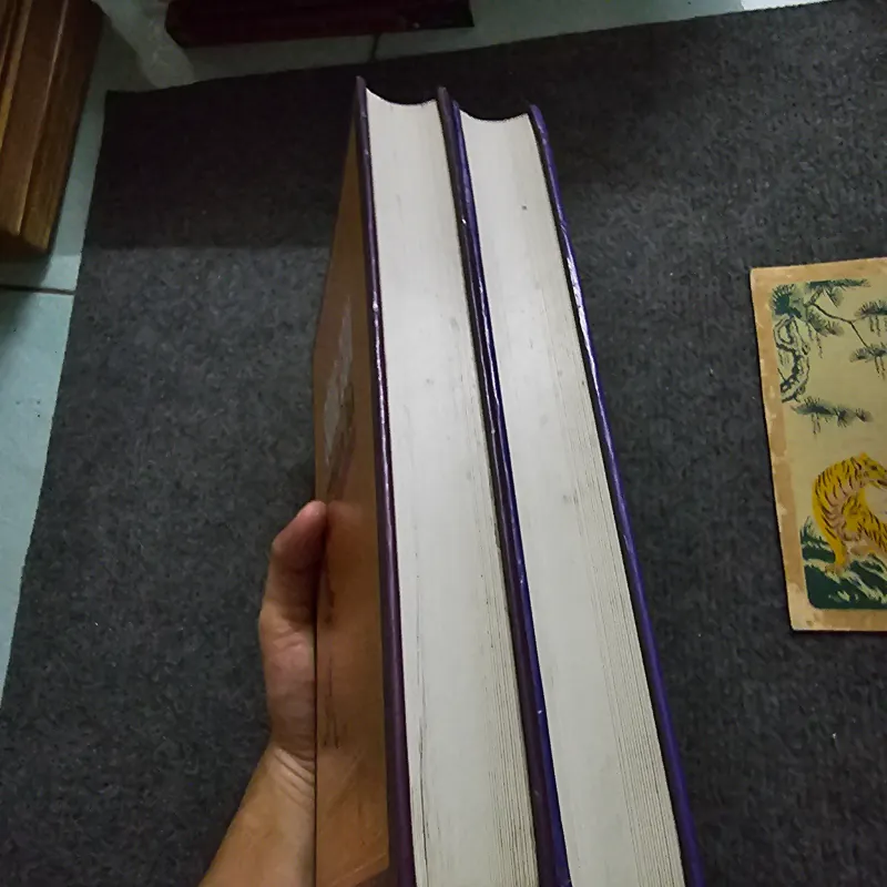 Sông côn mùa lũ - nguyễn mộng giác 748539