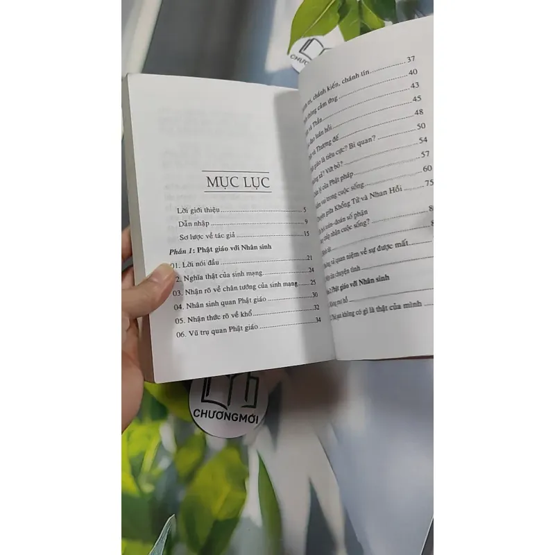 Phật Giáo Với Nhân Sinh - Pháp Sư Tuệ Luật 776151