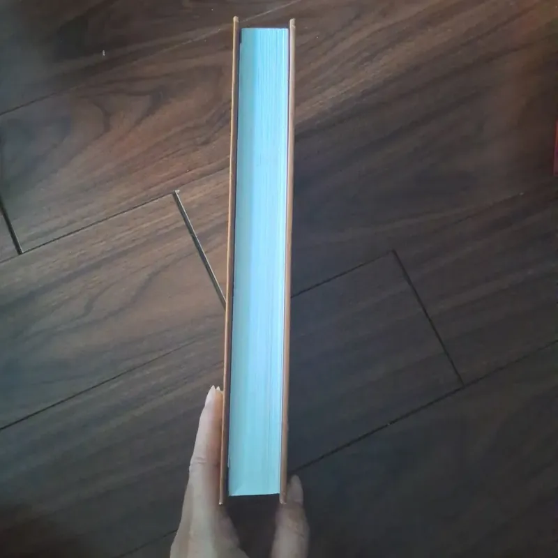 Chiếu đảm kinh  737162