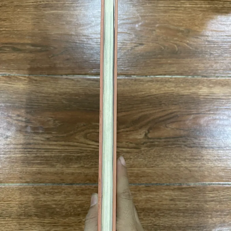 BÁCH KHOA THƯ HỌC SINH LƯỜI: NHỮNG KẺ PHÁ CÁCH, BẬC THIÊN TÀI (o3) 594332