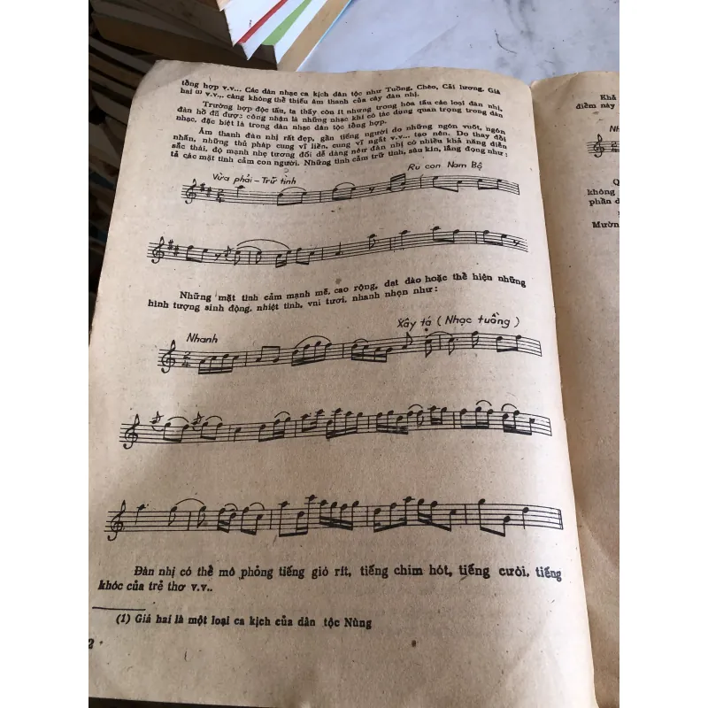 Nhạc khí dân tộc Việt Nam - Lê Huy - Huy Trân 1002414