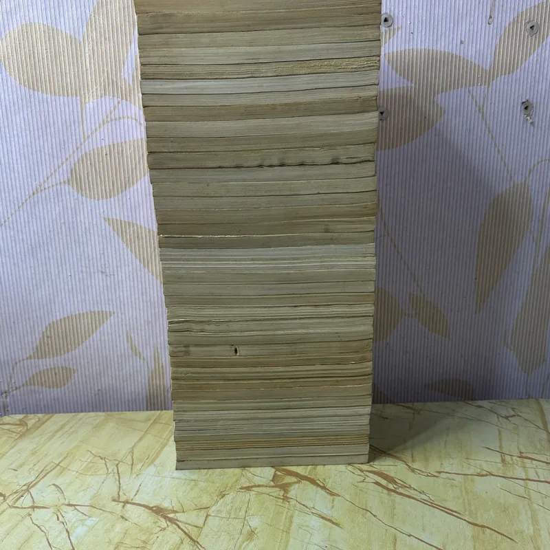 RANMA 1/2 full 38t 733903