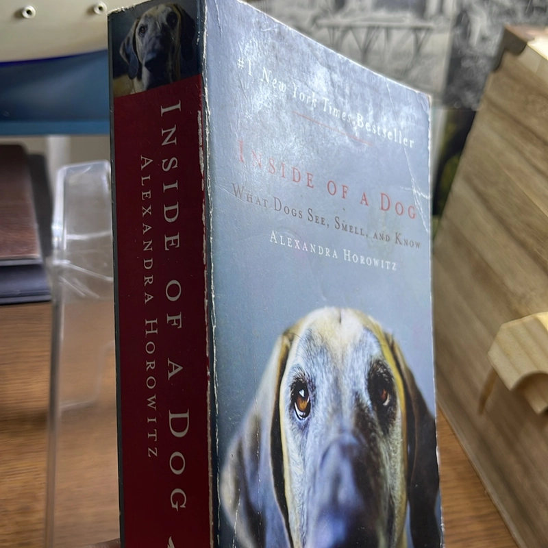 Inside of a dog Alexandra Horowitz 521160