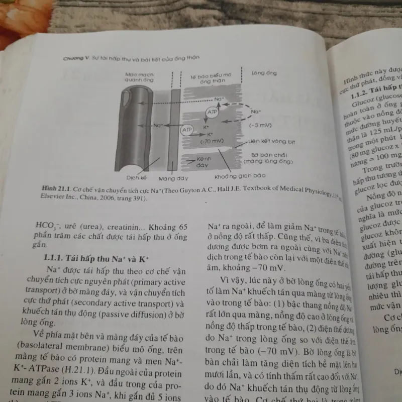 SINH LÝ HỌC Y KHOA- Tập 1-Giáo sư PHẠM ĐÌNH HỰU -ĐH Y Dược HCM  778118