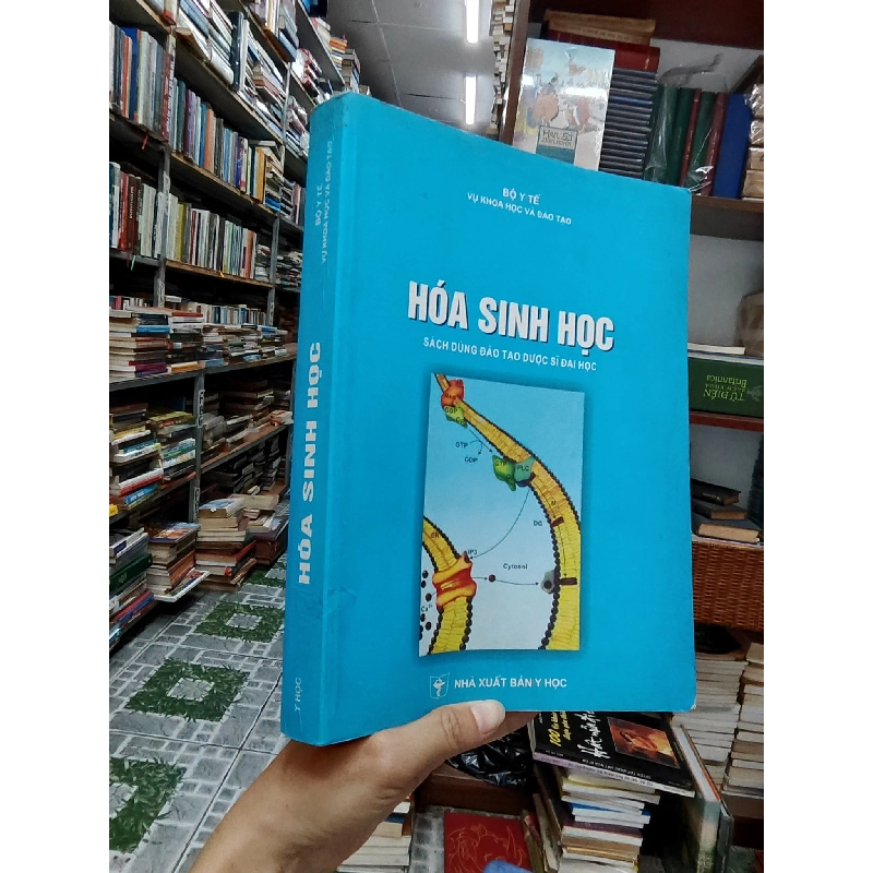 Hóa sinh học 1006667