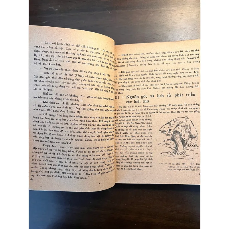 📖 Đời sống các loài thú (xb 1972) 565178