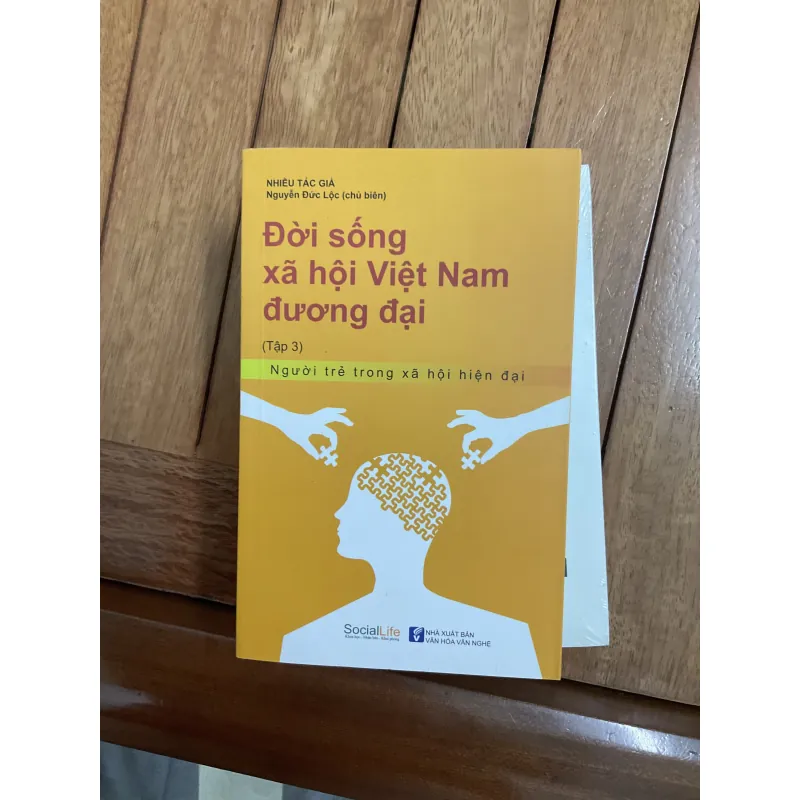 Đời sống xã hội Việt Nam đương đại 994666