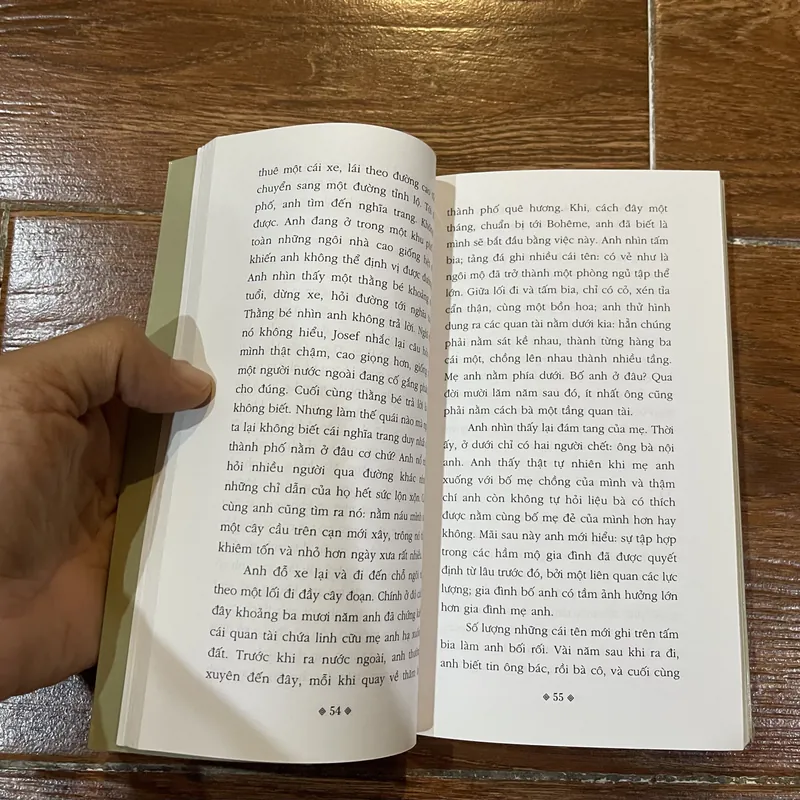 Vô Tri Milan Kundera (6) 733372