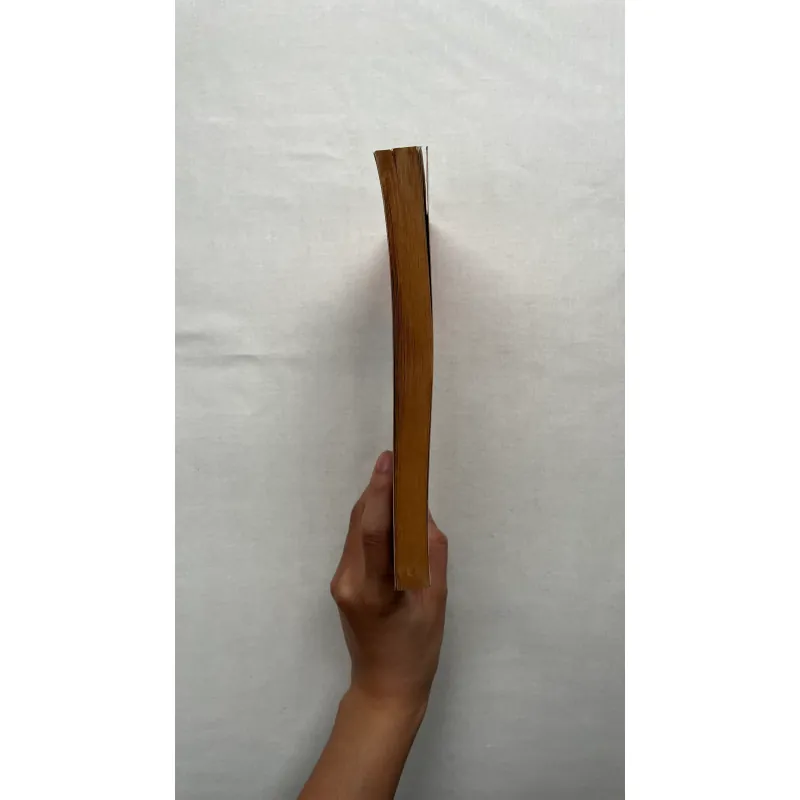 The Phoenix and the Carpet - Edith Nesbit 960650