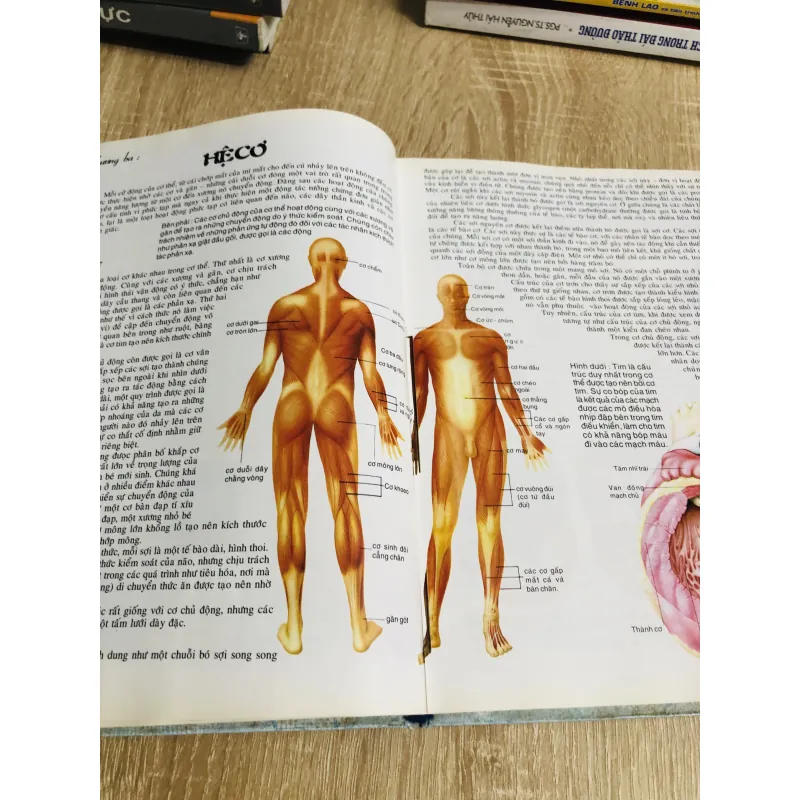 GIẢI PHẪU HỌC 2000 1013039