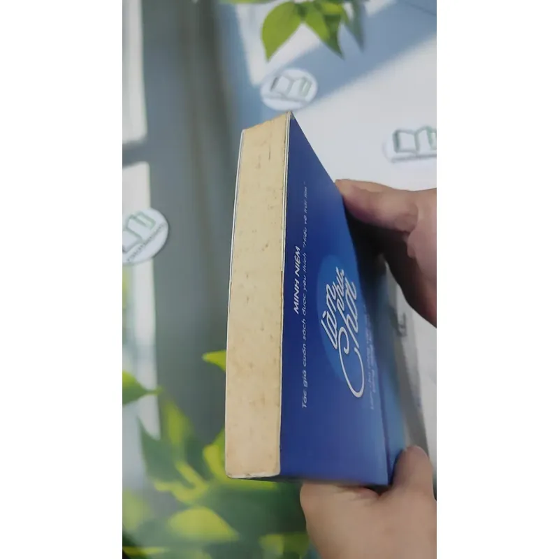 Làm Như Chơi - Minh Niệm 787097