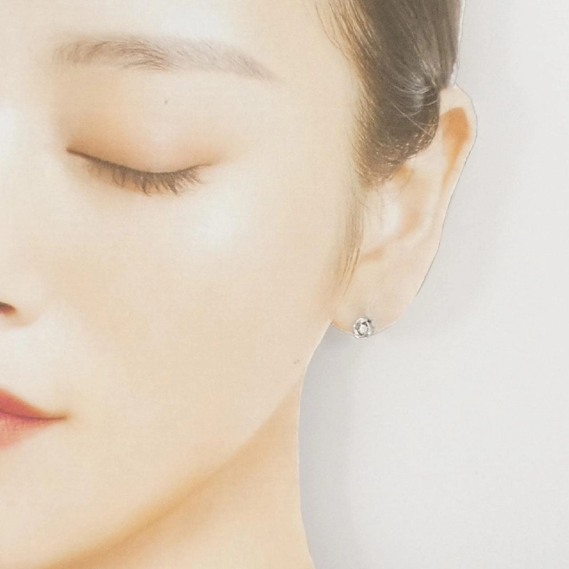 PT950/PT900 Bông tai kim cương - Hàng hiệu Authentic 866973