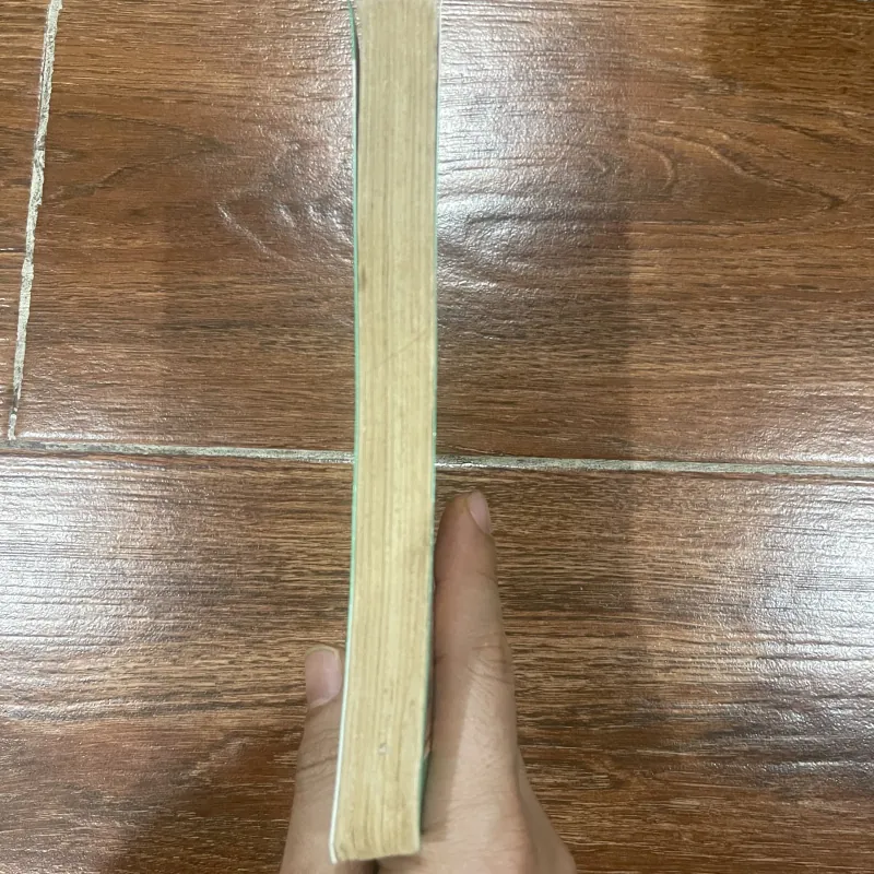 Cơ Sở Văn Hóa Việt Nam (7) 973149