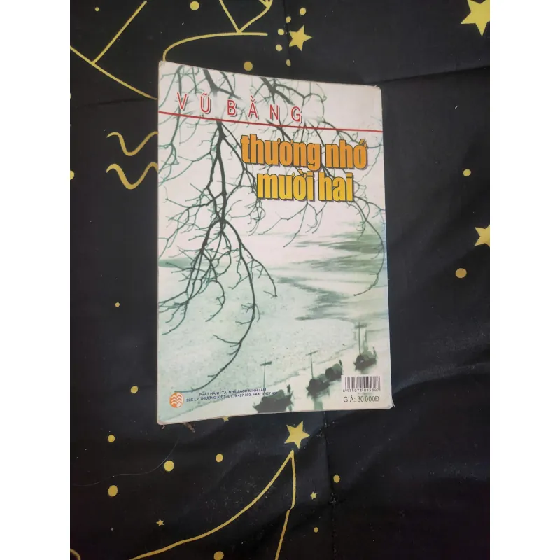 THƯƠNG NHỚ MƯỜI HAI - Vũ Bằng 728568