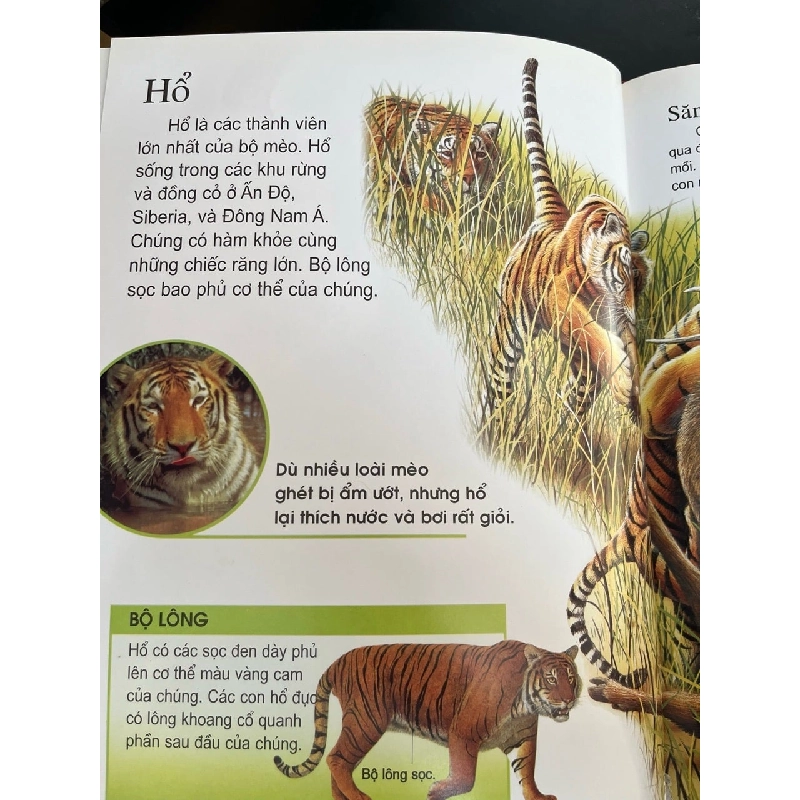 Thế giới động vật - những điều kỳ thú 782777