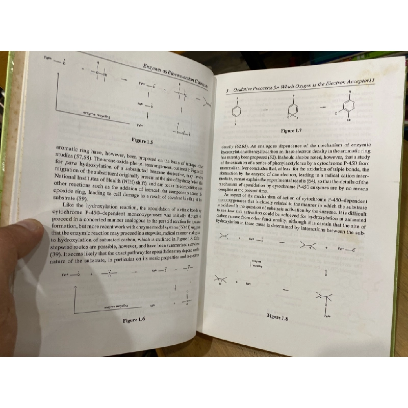 Organic Synthesis with Oxidative Enzymes - Herbert L. Holland 335072