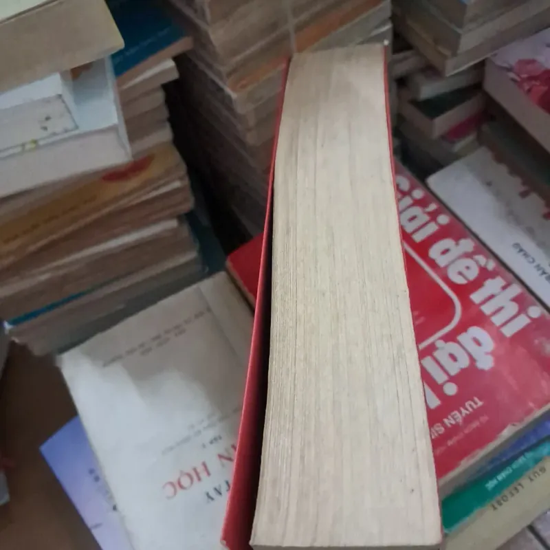 Yêu không lối thoát 1021824