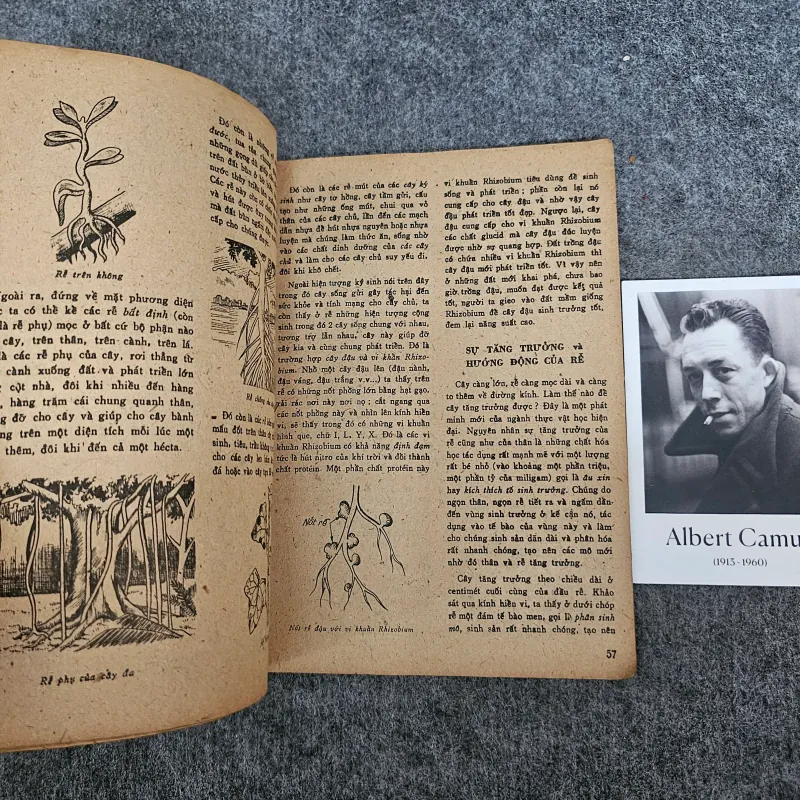 Bí mật kim tự tháp ai cập 1024936