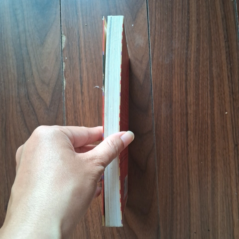 Dự án son bóng 505305