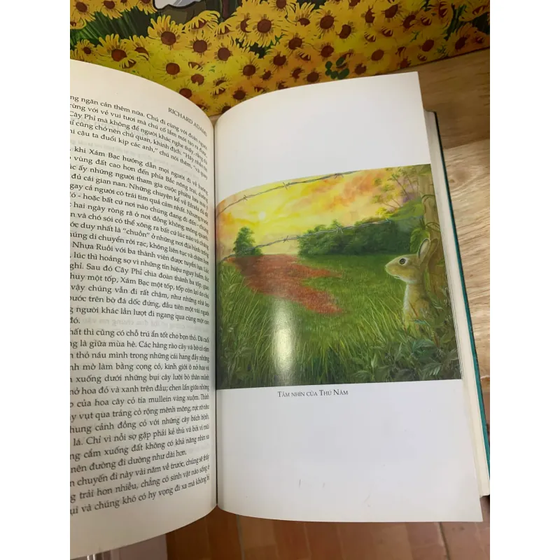 Đồi Thỏ - Pichard Adams 927458