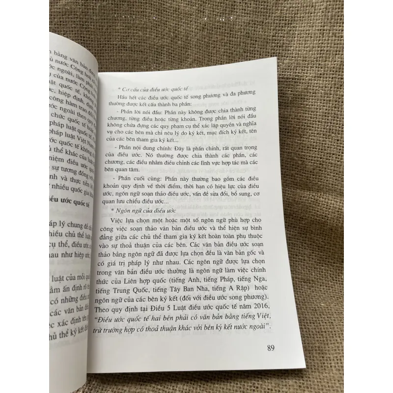 GIÁO TRÌNH LUẬT QUỐC TẾ- 500 trang 993502