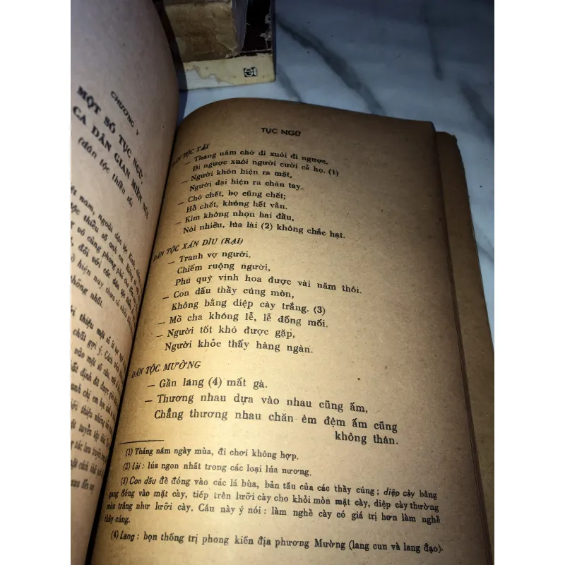 Thơ ca dân gian Việt Nam  990634