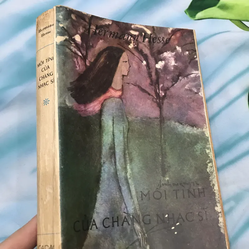 Mối tình của chàng nghệ sĩ 591298